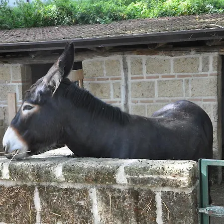 Alloggio per agriturismo Agriturismo Ricciardelli Contrada (Campania)