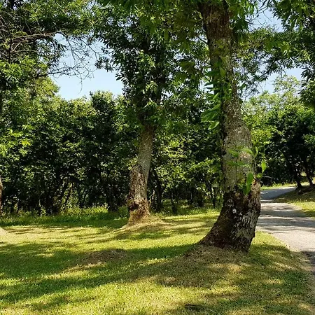 Agriturismo Ricciardelli Farm stay