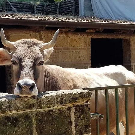 Agriturismo Ricciardelli Farm stay *