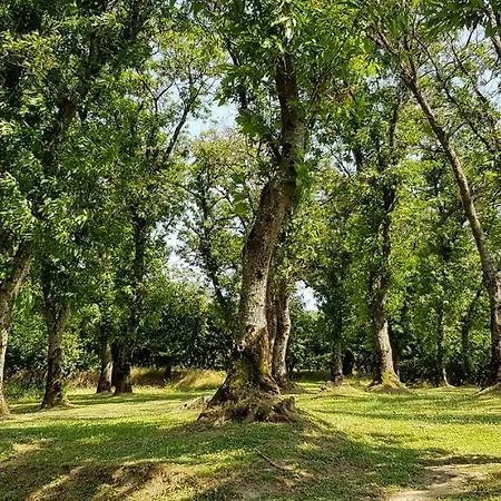 Agroturismo Agriturismo Ricciardelli *